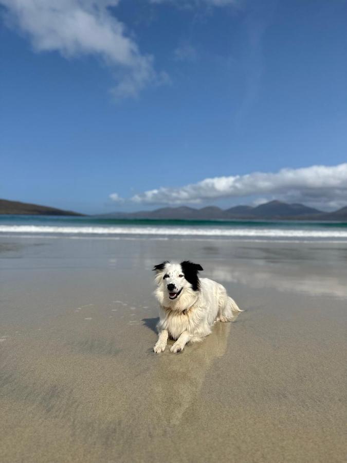 Kinnoull House Near Stornoway Hot-Tub Sauna Pet Friendly Garrabost 外观 照片